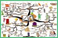 An Interpretation of Shakespeare's Comic Tools