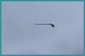 Disturbing video shows floating broom in the middle of the air and the internet is losing its collective mind