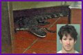 Florida Man Throws Crocodile In Drive Thru